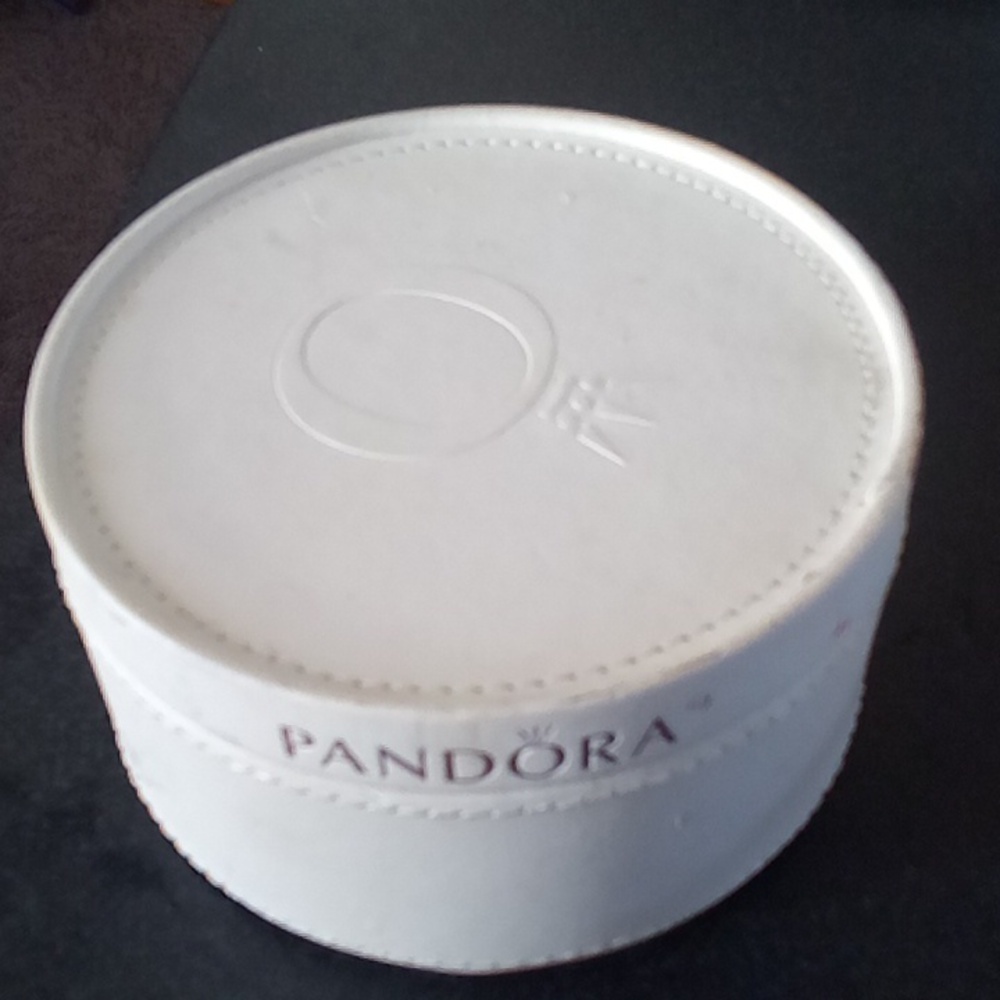 Pandora Charm Box-Leather?